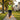 Stride - OnBarefoot