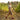 Stride - OnBarefoot