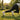 Terra - OnBarefoot