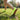 Stride - OnBarefoot