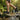 Wave - OnBarefoot