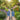 Stride - OnBarefoot