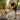 Cascade - OnBarefoot