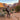 Summit - OnBarefoot