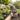 Flow - OnBarefoot