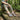 Loafers - OnBarefoot
