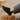Breeze barefoot sneaker in black worn with foot up on a wooden stump