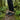 Sage - OnBarefoot