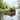 Sage - OnBarefoot