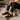 Loafers Black Lifestyle