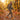 Stride - OnBarefoot