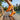 Stride - OnBarefoot
