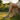 Grove barefoot sneaker in sand, worn crossing legs on grass by a stone wall at sunset