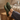 Anchor barefoot sneaker in olive green worn with feet up, top down view