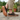 Sage barefoot sneaker in brown worn on a stone path, side view of the gum sole