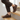 Summit – Rugged & Non-Slip Barefoot Hiking Shoes