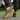 Ease barefoot slip on shoe for men in olive green, worn side view walking on paving